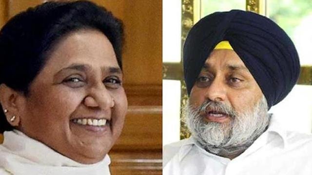 Breaking News- 'ਹਾਥੀ' ਬਣਿਆ 'ਅਕਾਲੀ ਦਲ' ਦਾ ਨਵਾਂ ਸਾਥੀ, ਰਲ ਕੇ ਲੜ