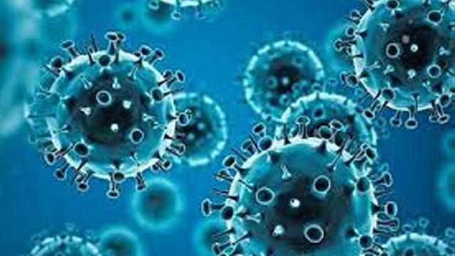 Coronavirus Updates India - ਦੇਸ਼ 'ਚ ਕੋਰੋਨਾ ਵਾਇਰਸ ਦਾ ਕਹਿਰ, 20