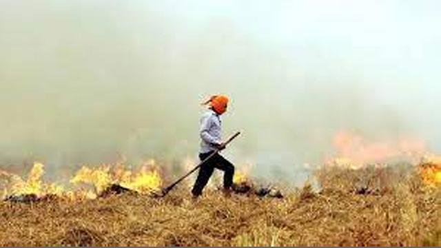 ਪਰਾਲੀ ਨੂੰ ਸਾੜਨ ਤੋਂ ਰੋਕਣ ਲਈ ਸਰਕ