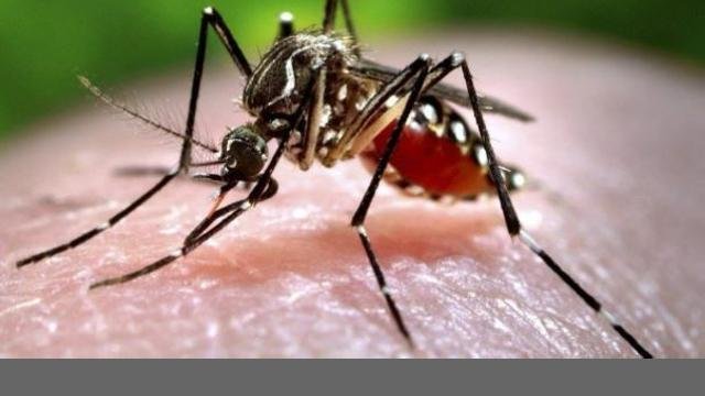 Zika virus ਦੀ ਵਾਪਸੀ, ਕਰਨਾਟਕ 'ਚ