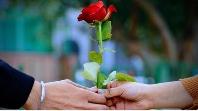 Rose Day Tips- ਰੋਜ਼ ਡੇਅ 'ਤੇ ਆਪ