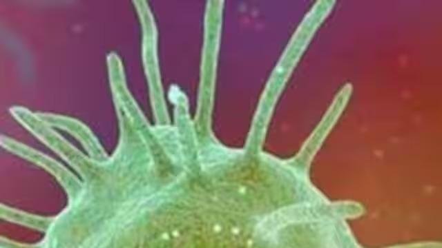 Expert On Pandemic- ਕੋਰੋਨਾ ਤੋਂ ਸੱਤ ਗੁਣਾ ਜ਼ਿਆਦਾ ਖ਼ਤਰਨਾਕ ਮਹਾਮਾ