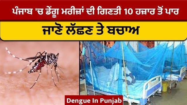 Dengue In Punjab - ਪੰਜਾਬ 'ਚ ਡੇ