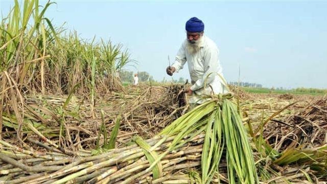Punjab News- ਕਿਸਾਨਾਂ ਲਈ CM ਮਾਨ