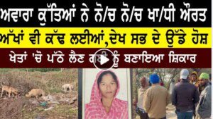 ਸੁਲਤਾਨਪੁਰ ਲੋਧੀ ਚ ਅਵਾਰਾ ਕੁੱਤਿਆਂ