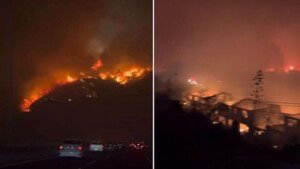 Chile Wildfire- ਚਿਲੀ ਦੇ ਜੰਗਲਾਂ