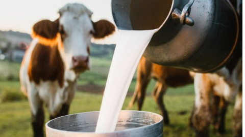 Virus found in milk- ਗਾਂ ਦੇ ਦੁ