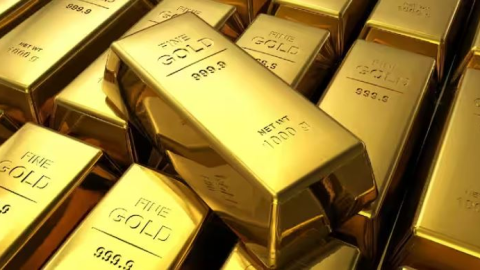 India gold - ਭਾਰਤ ਨੇ ਮਈ 'ਚ ਖਰੀਦਿਆ 722 ਕਰੋੜ ਦਾ ਸੋਨਾ, ਗੋਲਡ ਖਰੀ