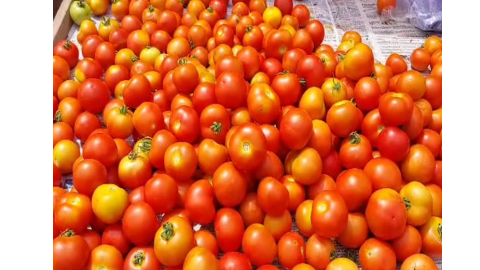 Vegetable prices  -ਭਾਰੀ ਬਾਰਿਸ਼ ਕਾਰਨ ਦੁੱਗਣੇ ਹੋਏ ਸਬਜ਼ੀਆਂ ਦੇ ਭਾਅ