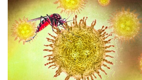 Chandipura virus-  ਗੁਜਰਾਤ 'ਚ ਚ