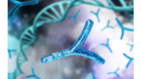 Y Chromosome - ਦੁਨੀਆ 'ਚ ਮੁੰਡੇ ਪੈਦਾ ਹੋਣੇ ਹੋ ਜਾਣਗੇ ਬੰਦ ! Y ਕ੍ਰ