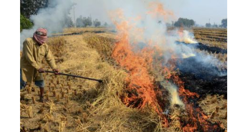 Stubble burning- ਕਿਸਾਨਾਂ ਨੂੰ ਪਰਾਲੀ ਸਾੜਨ ਤੋਂ ਰੋਕਣ ਲਈ ਕੇਂਦਰ ਐਕ