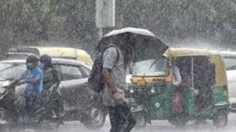 Punjab Weather- ਪੰਜਾਬ ਦੇ 11 ਜ਼