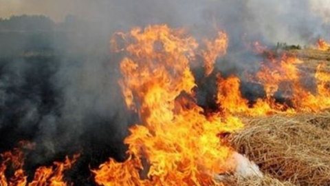 Stubble Burning - ਪ੍ਰਦੂਸ਼ਣ ਨੂੰ