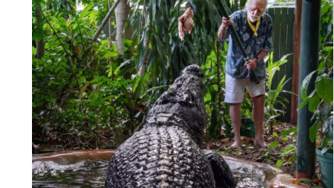 World Largest Crocodile Dies