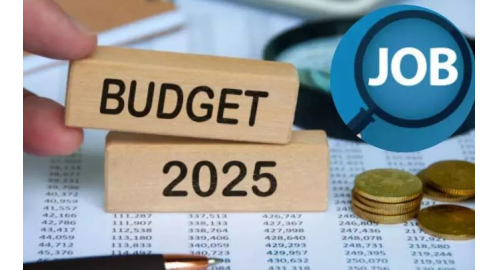 Budget 2025 - ਬਜਟ 'ਚ ਰੁਜ਼ਗਾਰ ਦ