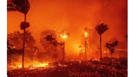 Los Angeles Wildfires- ਅਮਰੀਕਾ