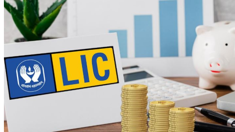 2024 'ਚ LIC ਦੇ ਕਾਰੋਬਾਰ 'ਚ ਹੋਇਆ