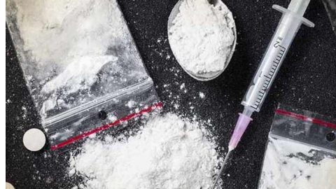 Italy ਪੁਲਿਸ ਨੂੰ ਵੱਡੀ Drug ਤਸਕਰੀ 'ਚ ਮਿਲੀ ਸਫਲਤਾ, 788 ਕਿਲੋ ਕੋਕੀ