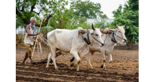 Pradhan Mantri Kisan Samman Nidhi - ਹਰਿਆਣਾ ਦੇ ਕਿਸਾਨਾਂ ਲਈ ਖੁਸ਼