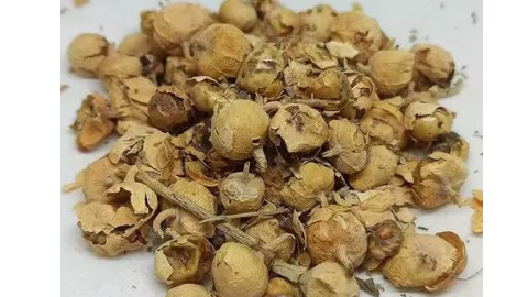 Diabetes; ਸ਼ੂਗਰ ਦੇ ਮਰੀਜ਼ਾਂ ਲਈ