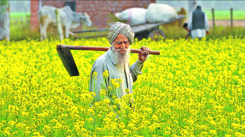ਜੂਨ ਮਹੀਨੇ ਜਾਰੀ ਹੋ ਸਕਦੀ ਹੈ PM K