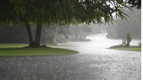 Punjab Weather- ਮੌਸਮ ਵਿਭਾਗ ਵੱਲ