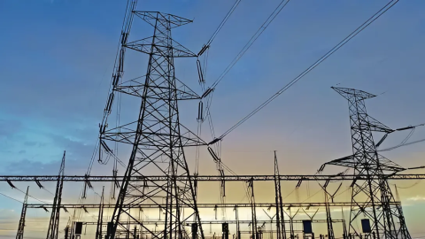 Delhi Power Demand- ਗਰਮੀ ਵਿਚਾਲੇ ਦਿੱਲੀ 'ਚ ਬਿਜਲੀ ਦੀ ਮੰਗ ਨੇ ਤੋੜ