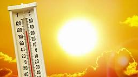 Punjab Weather- ਪੰਜਾਬ ਦੇ ਤਾਪਮਾ