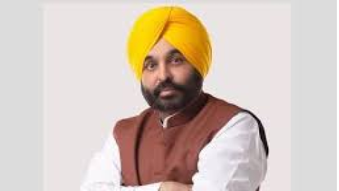 CM ਮਾਨ Fake Video ਮਾਮਲਾ - ਮੋਹਾ
