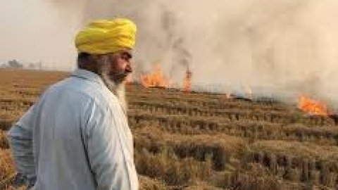 ਪੰਜਾਬ ਵਿੱਚ ਤੇਜ਼ੀ ਨਾਲ ਵਧ ਰਹੇ ਪਰਾਲੀ ਸਾੜਨ ਦੇ ਮਾਮਲੇ — 500 ਤੋਂ ਵੱ