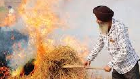 ਪੰਜਾਬ ਵਿੱਚ ਪਰਾਲੀ ਸਾੜਨ ਦੇ ਮਾਮਲੇ