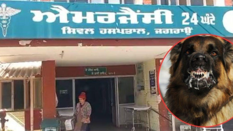 ਜਗਰਾਓਂ 'ਚ ਰੇਬੀਜ਼ ਦਾ ਖੌਫ਼; ਇੱਕੋ ਪਰਿਵਾਰ ਦੇ 7 ਮੈਂਬਰਾਂ 'ਚ ਦਿਖੇ ਸ