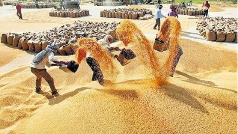ਕਿਸਾਨਾਂ ਨੂੰ ਵੱਡੀ ਰਾਹਤ, ਕੇਂਦਰ ਸ