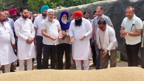 122 ਲੱਖ ਮੀਟਰਿਕ ਟਨ ਕਣਕ ਦੀ ਖ਼ਰੀਦ