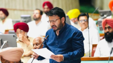 80ਵਾਂ ਆ਼ਜਾਦੀ ਦਿਹਾੜਾ- ਪੰਜਾਬ ਦੇ ਜੇਲ੍ਹਾਂ, ਪ੍ਰਵਾਸੀ ਭਾਰਤੀ ਅਤੇ ਸੰਸ