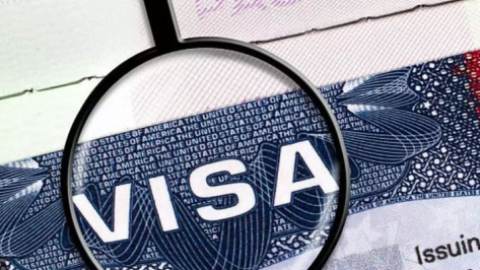 ਜਲੰਧਰ ਵਿੱਚ Vani Visa Services
