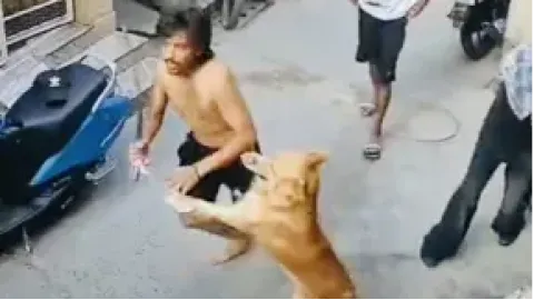 ਕੁੱਤੇ ਨੇ ਬਚਾਈ ਨੌਜਵਾਨ ਦੀ ਜਾਨ: ਗ