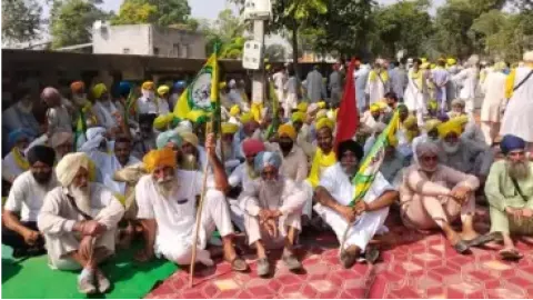 ਝੋਟਾ ਹਤਿਆਕਾਂਡ ਵਿੱਚ ਵੱਡੀ ਕਾਰਵਾਈ, ਆਪ ਵਿਧਾਇਕਾਂ ਦੇ ਘਰਾਂ 'ਤੇ ਲਾਨਤ